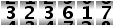 323617