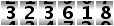 323618