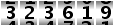 323619