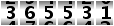365531