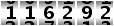 116292