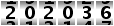 202036