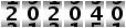 202040