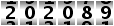 202089