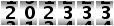 202333