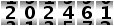 202461