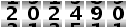 202490