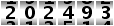 202493