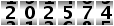 202574