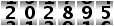 202895