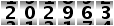 202963