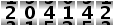 204142