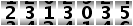 2313035