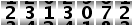 2313072
