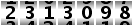2313098