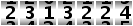 2313224