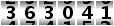 363041