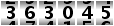 363045