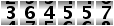 364557