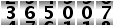 365007
