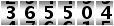 365504