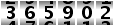 365902