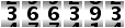 366393